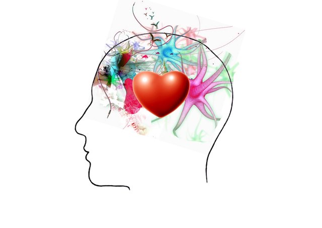 Áreas de la inteligencia emocional