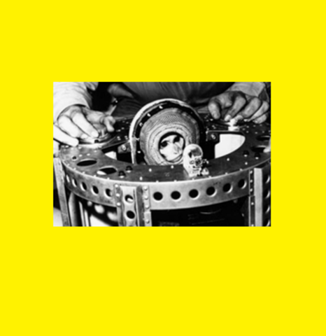 EXPERIENCIA BIOLÓGICA BIO-I Y CANOPUS BIO II