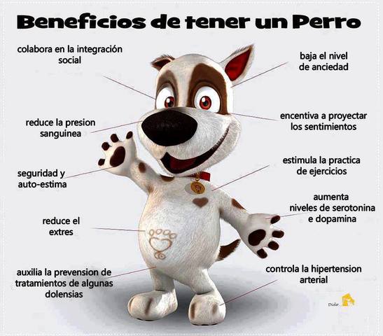 BENEFICIOS DE TENER UN PERRO