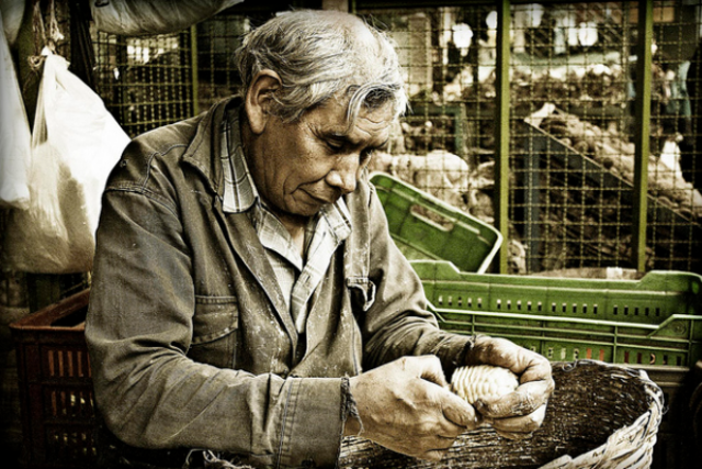 CONCEPTO DE DESARROLLO SOCIAL