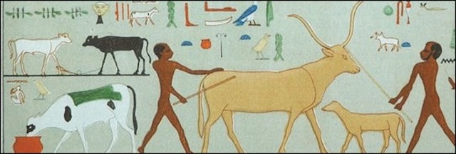 Neolithic cultures in Taurus Mountains