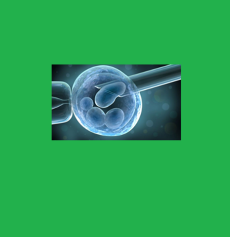 CLONACIÓN DE ANIMALES PARA USOS MÉDICOS