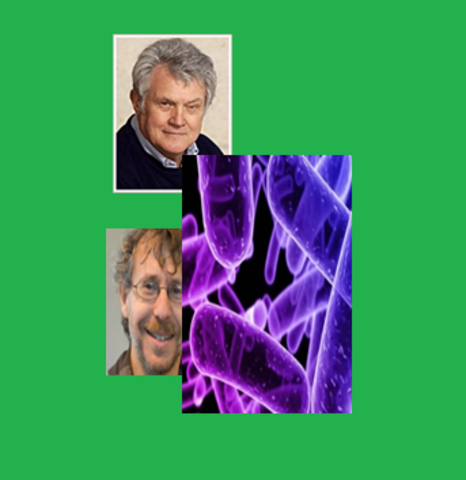 HACIA LA CURA DE ENFERMEDADES