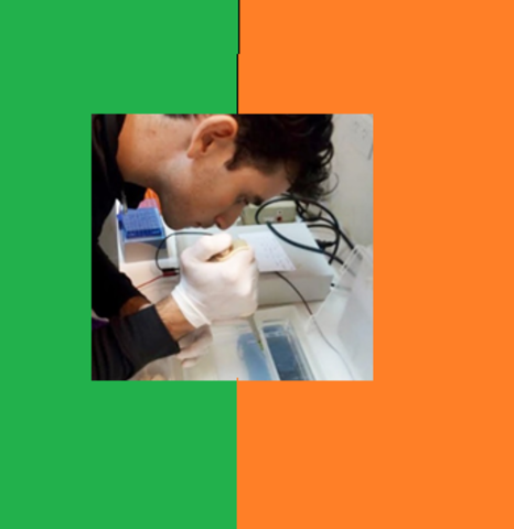 DESARROLLAN UN DETECTOR DE GLIFOSATO