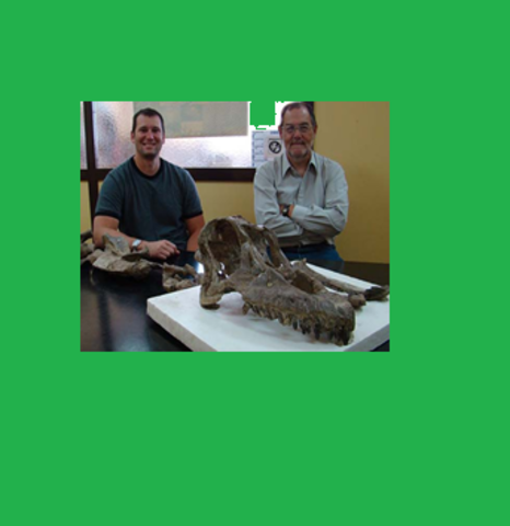 PRIMER CRANEO DE TITANOSAURIO HALLADO COMPLETO EN AMERICA AUSTRAL