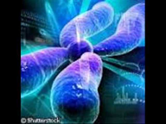 Hugo de Vries, Karl Correns y Eric Von Tschermark