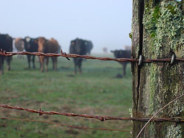 Barbed Wire Invented (1874)