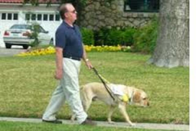Guide Dogs