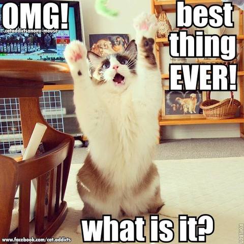 the first commercial computer