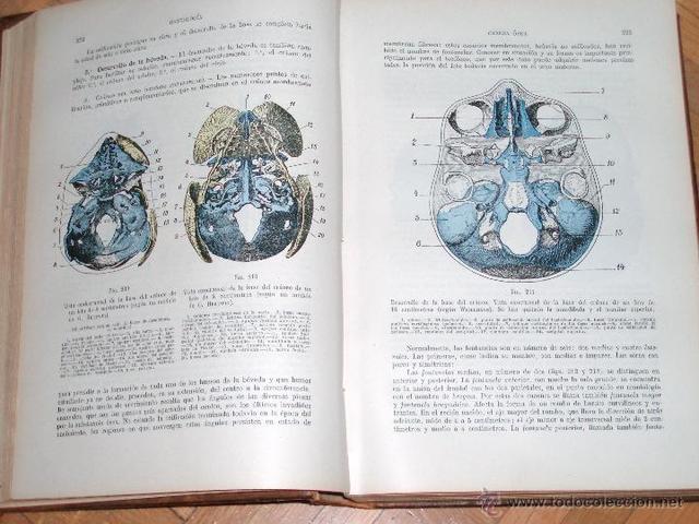 Manuales de anatomía de Testut y Latarjet