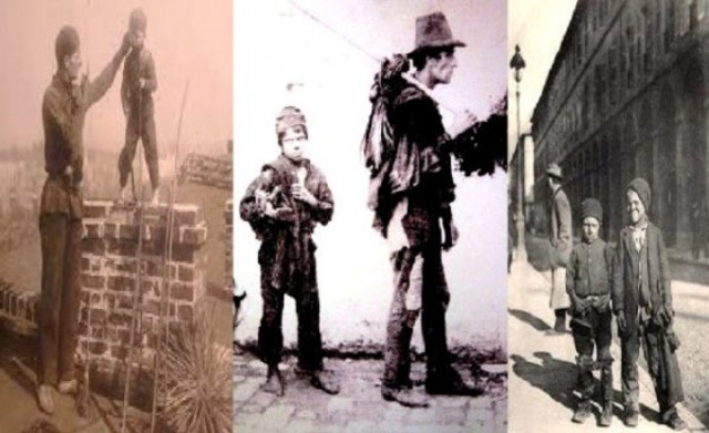 "LOS DESHOLLINADORES Y EL CÁNCER DE PRÓSTATA"