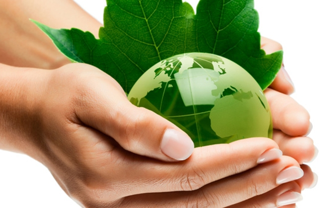 DESARROLLO SOSTENIBLE