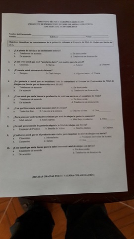 elaboración de diagnostico e incuestas