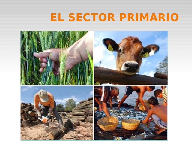 EMPRESAS DEL SECTOR PRIMARIO