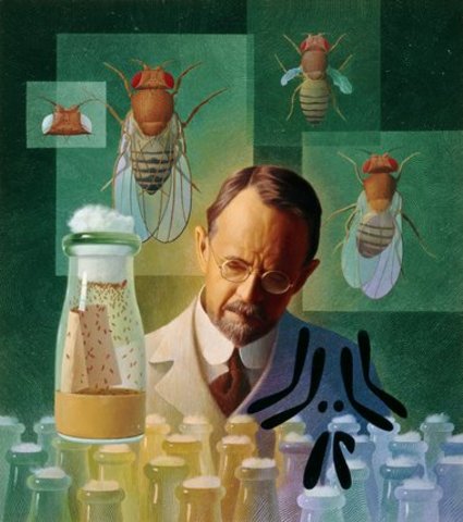 El señor de las moscas