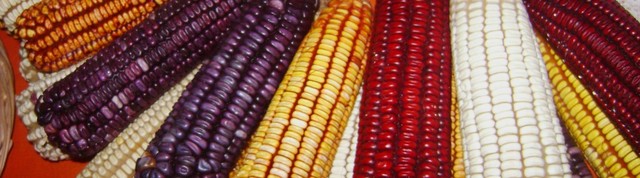 Primeras poblaciones del siglo XI, en América