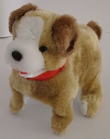 Cachorrinho que virava cambalhotas