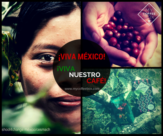 MÉXICO Y LAS EMPRESAS CAFETERAS 2008