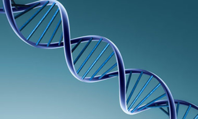 Investigadores estadounidenses