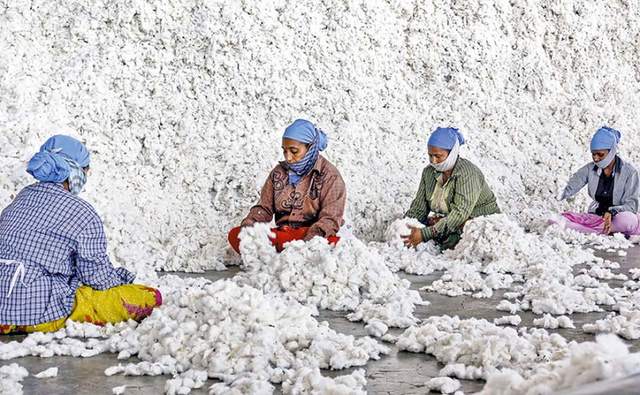 Exportación de algodón