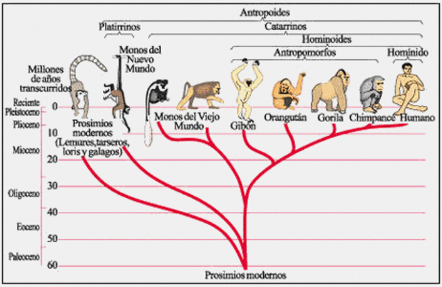 Investigadores estadounidenses