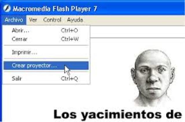 Macromedia Flash Player 7