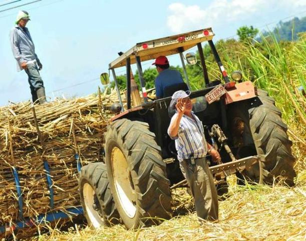 LA REFORMA CONSTITUCIONAL DE 1992