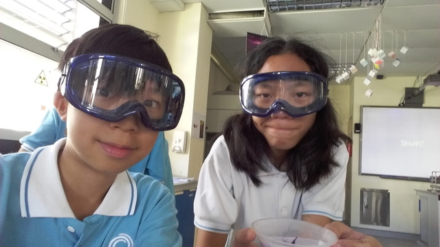 Meets a likeminded friend!