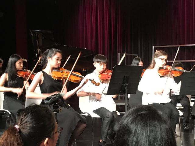 Learning how to play the Violin!