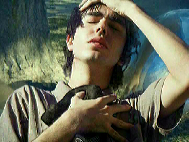 A MENSAGEM DE SILENO