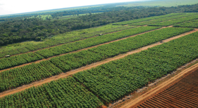 Censo Agropecuario de 1991