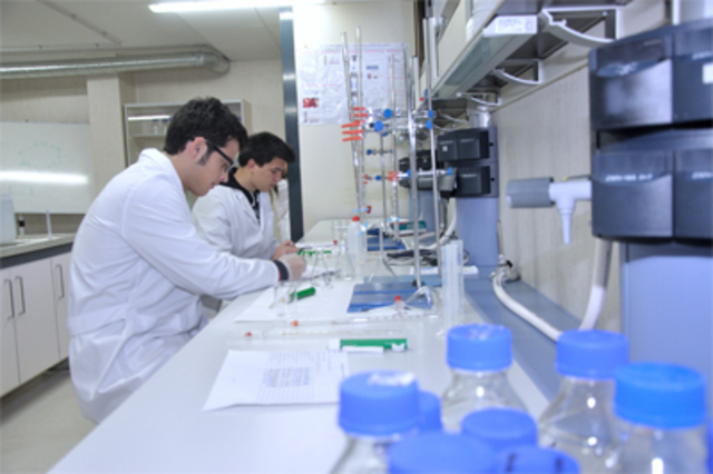 Era de la Información II