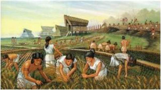 8,000 a.C. REVOLUCIÓN AGRÍCOLA
