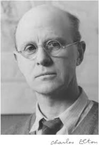 Nichos y pirámides ecológicas