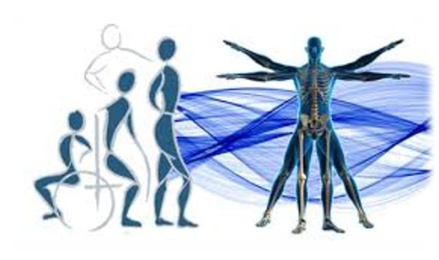 III CONSOLIDACIÓN PROFESIONAL