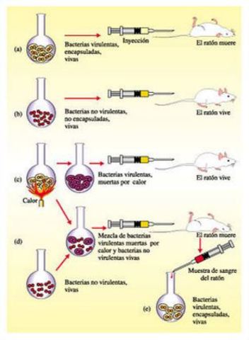 Idea de un factor de trasformación.