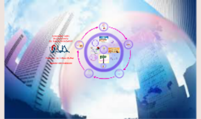 En auge la estrategia “mass customization”