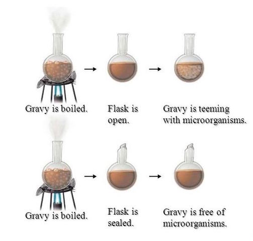Lazzaro Spallanzani's Turn