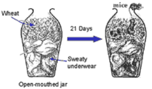 18th Century Recipe for Mice