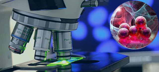 Cell called the Basic Unit of Life