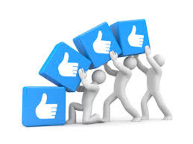 CONSOLIDACIÓN PROFESIONAL