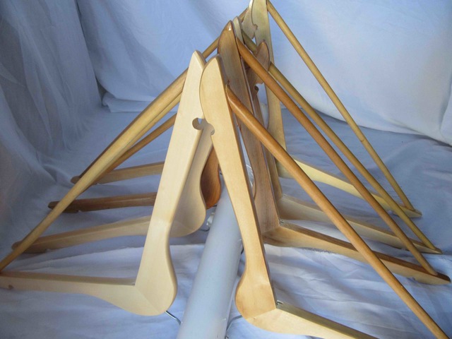 Ligno Tunica Adsecula