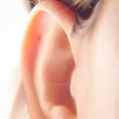 1995 - Genetic defect that appears to cause deafness is identified