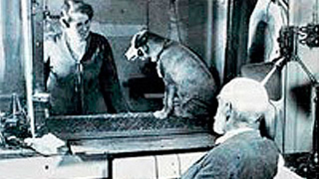 Reflejo condicionado de Pavlov