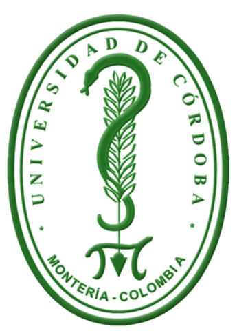 I started the university