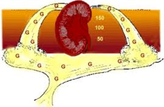 Arthur Beida y Rudely Krauts