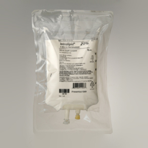 Yamakawa, Nombra, Stare y Gayer