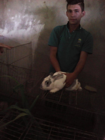 revisión de la especie y el alojamiento