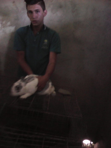 revisión de los avances  del proyecto