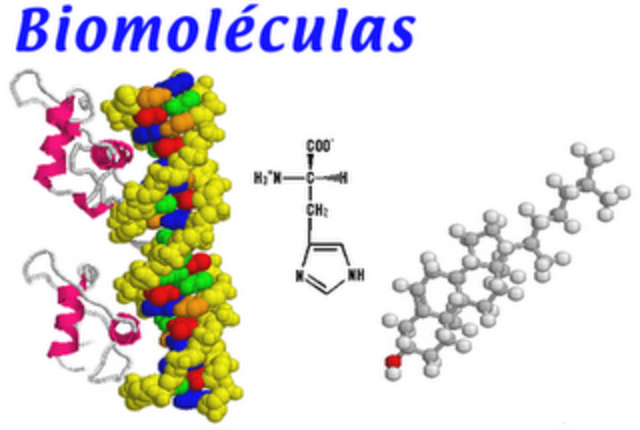 LAS PRUEBAS DE LA REALIDAD MOLECULAR